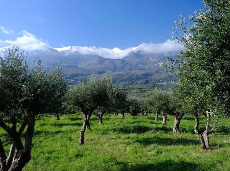 Parcelas  Armeni, Grecia