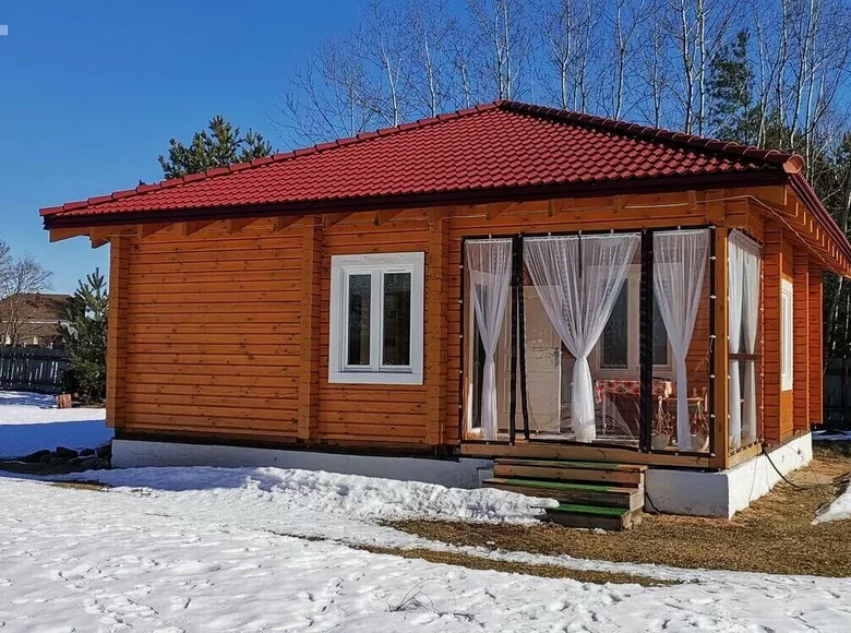 House 62 m² Narach, Belarus