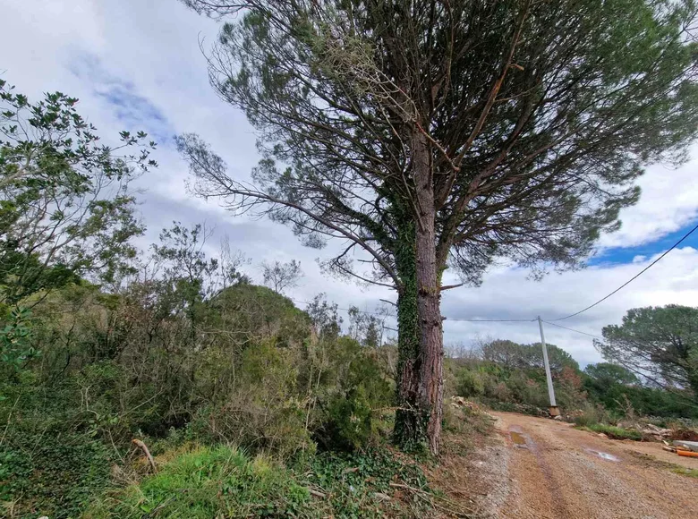 Grundstück 5 000 m² Zagora, Montenegro