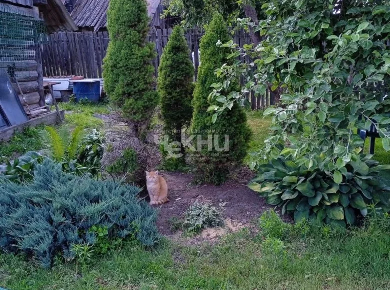 Haus 35 m² Prosek, Russland