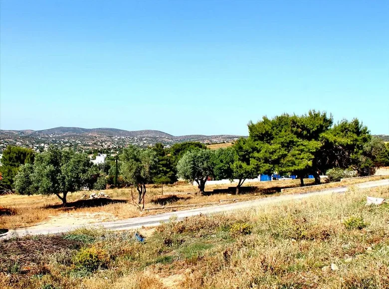 Parcelas 1 habitación  Agios Dimitrios, Grecia