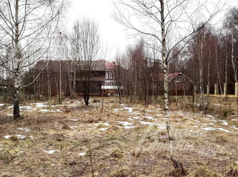 Land  poselenie Voronovskoe, Russia