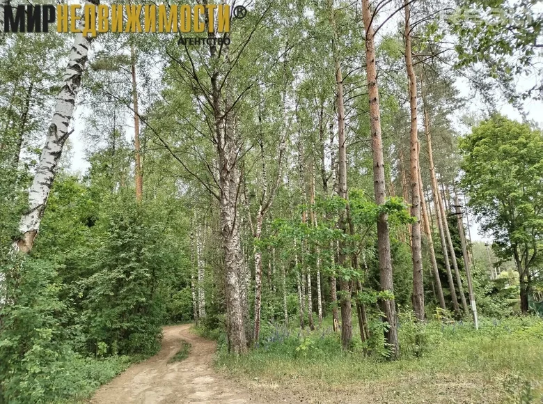 Grundstück  Zdanovicki sielski Saviet, Weißrussland