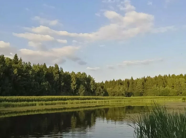 Grundstück  Stankauski sielski Saviet, Weißrussland