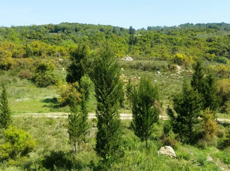 Land 1 room 9 375 m² Agios Ioannis, Greece