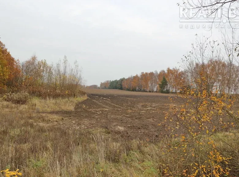 Дом 46 м² Ратайчицкий сельский Совет, Беларусь