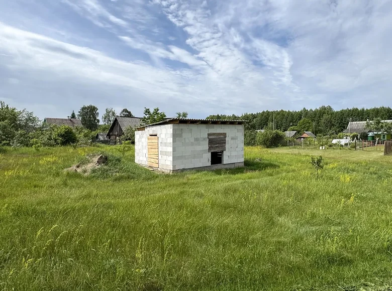 Land  Mikalajeuscynski sielski Saviet, Belarus