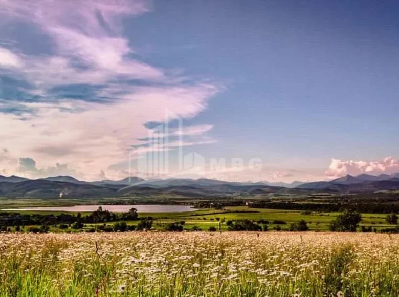 Działki 7 600 m² Gruzja, Gruzja