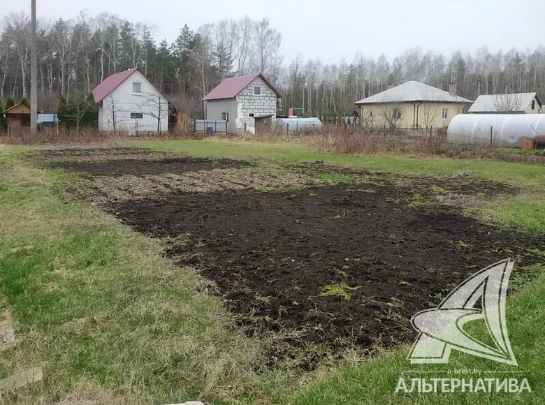 Дом  Брест, Беларусь