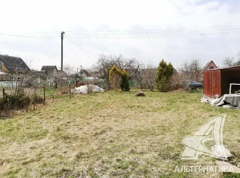 Land  Kamianica Zyravieckaja, Belarus