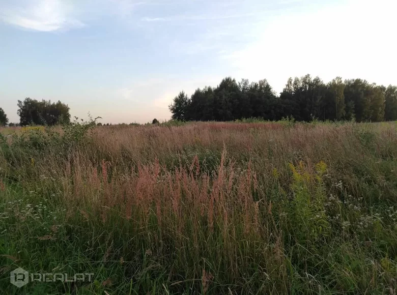 Земельные участки 4 600 м² Tinuzu pagasts, Латвия