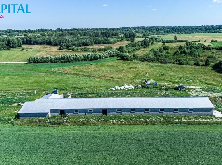 Commercial property 703 m² in Zvingiai, Lithuania