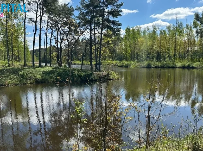 Maison 30 m² Bulotai, Lituanie