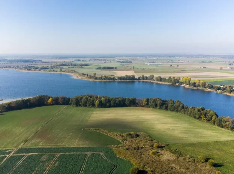 Działki 64 700 m² Kaliszany, Polska