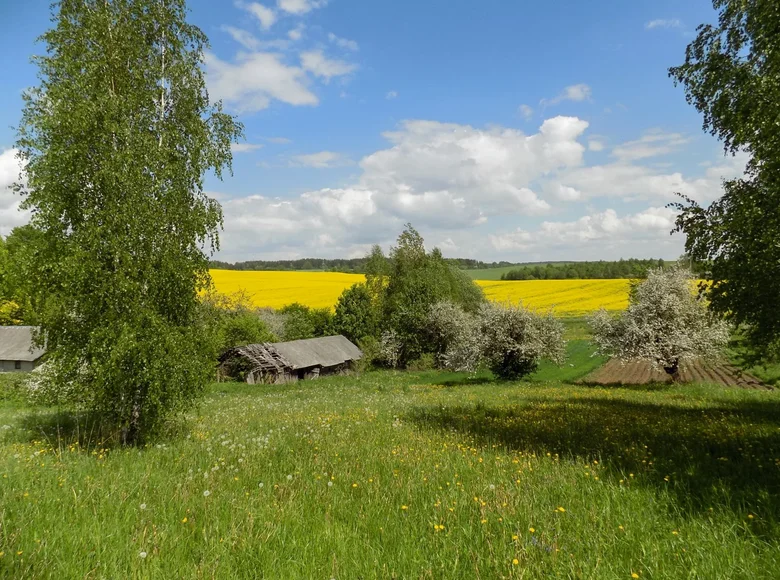 Land  Valozynski sielski Saviet, Belarus