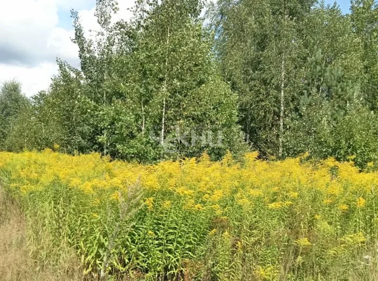 Parcelas 1 600 m² Kovrigino, Rusia