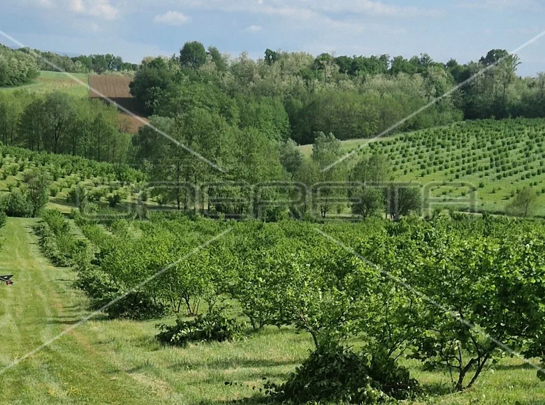 Działki 73 000 m² Daruvarski Brestovac, Chorwacja