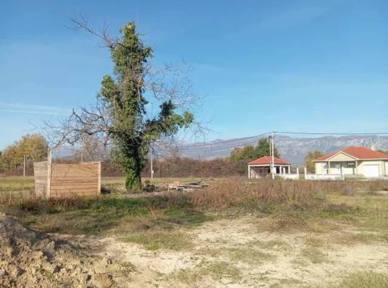Parcelas  Montenegro, Montenegro