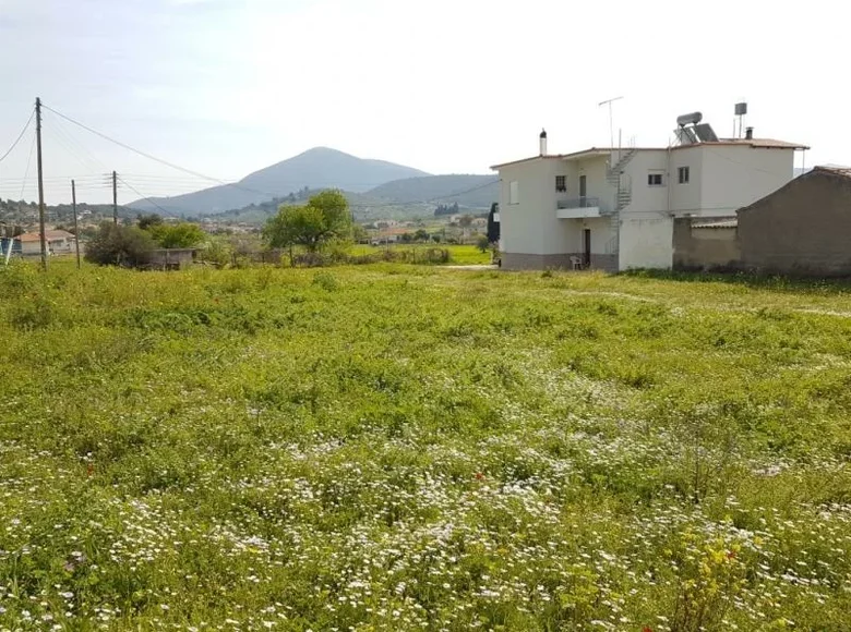Land 1 000 m² Peloponnese Region, Greece
