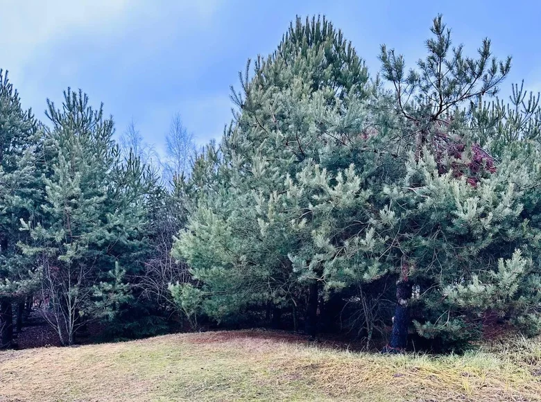 Dom 40 m² Dabryniouski sielski Saviet, Białoruś