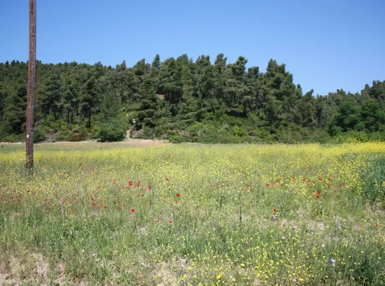 Land 1 room  Municipality of Kassandra, Greece