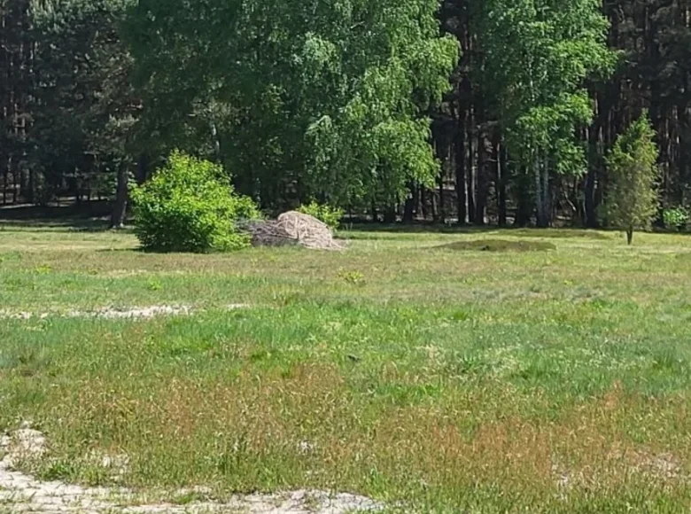 Grundstück 1 zimmer 3 000 m² Otwock, Polen