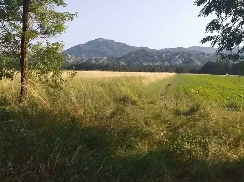 Land 4 200 m² Montenegro, Montenegro