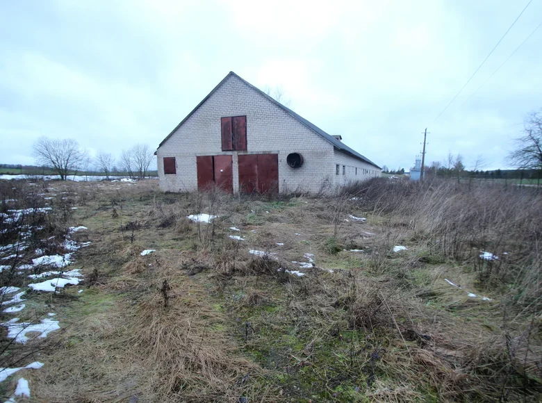 Gewerbefläche 1 204 m² Telsche, Litauen