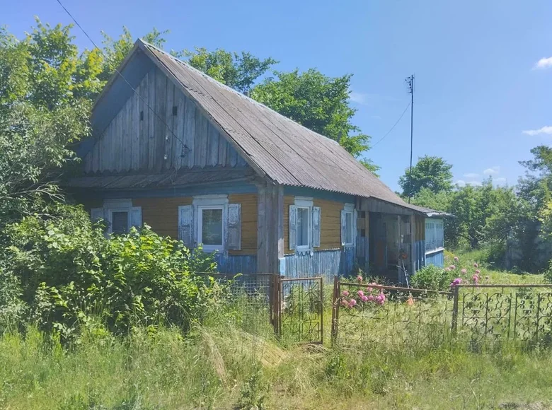 House 32 m² Znamia, Belarus