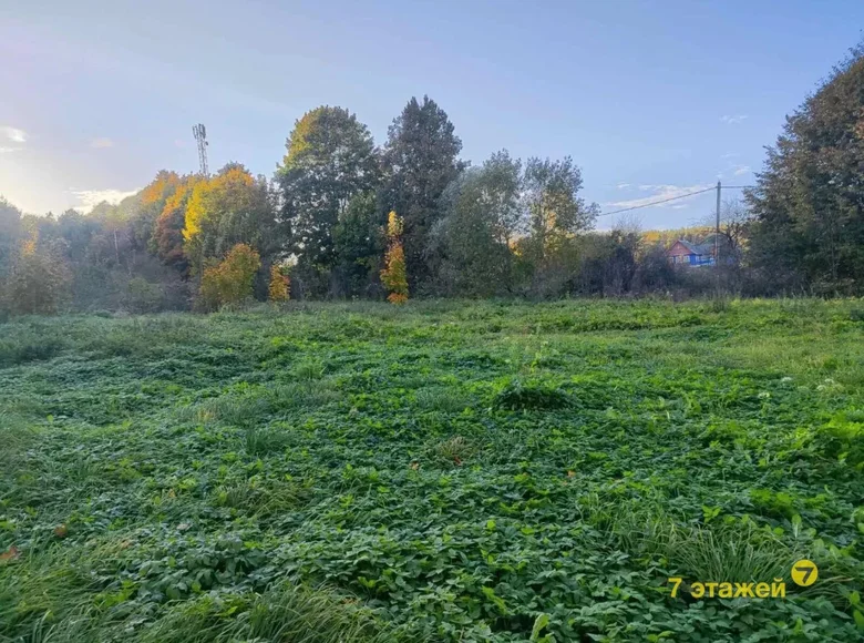 Maison 50 m² Rakauski siel ski Saviet, Biélorussie