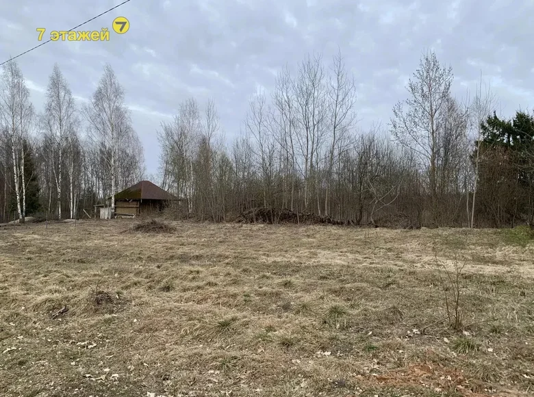 House  Piatryskauski sielski Saviet, Belarus