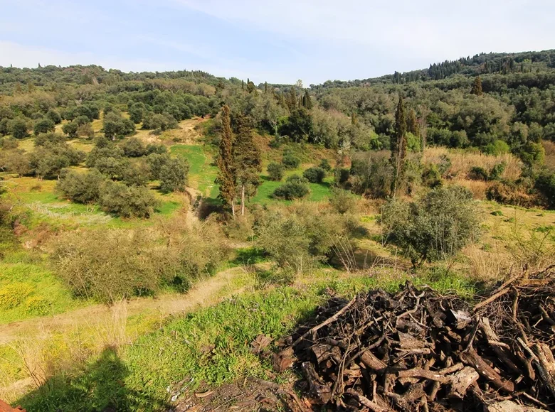 Atterrir 1 chambre  Agios Georgios, Grèce