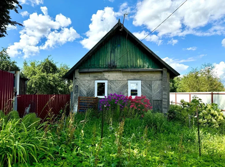 Haus 2 zimmer 29 m² Kniazycki siel ski Saviet, Weißrussland