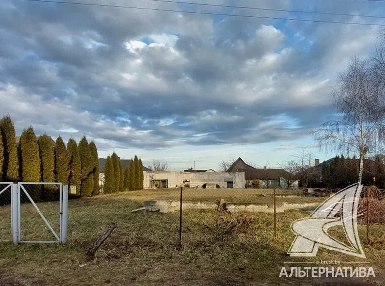 Land  Telminski sielski Saviet, Belarus