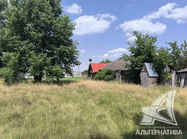 Haus 37 m² Vielikarycki siel ski Saviet, Weißrussland