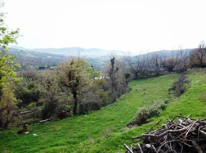 Land  Zupci, Montenegro