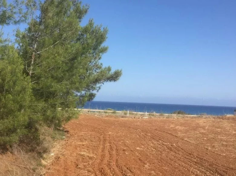 Grundstück  Nea Dhimmata, Cyprus