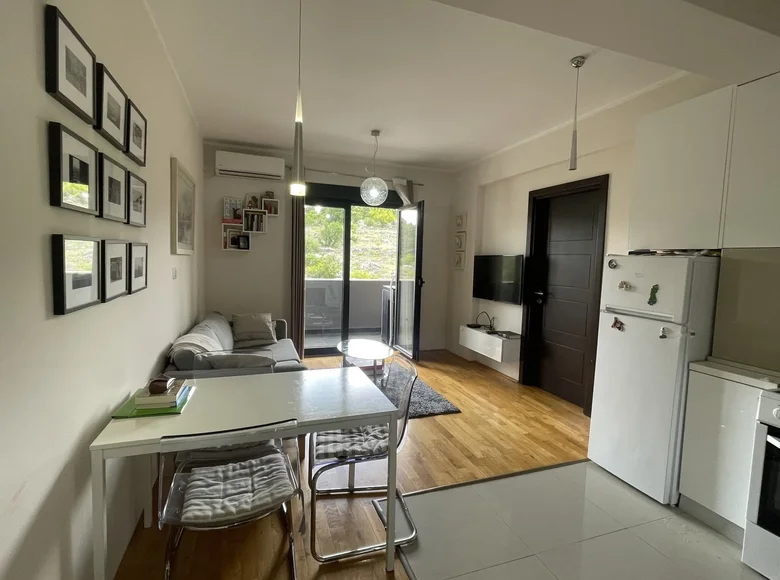 Apartamento 1 habitacion 452 m² Montenegro, Montenegro