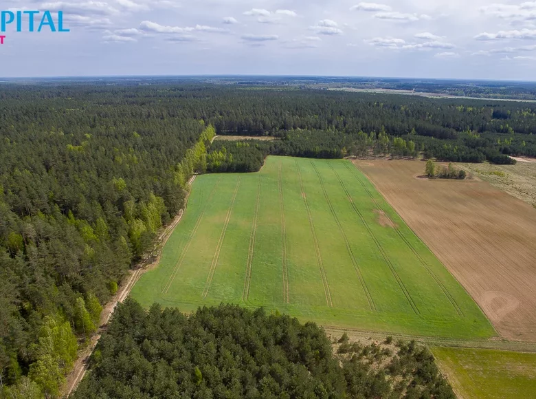 Grundstück  Anglininkai, Litauen