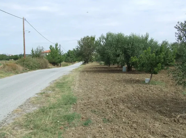 Atterrir 1 chambre  Mesimeri, Grèce