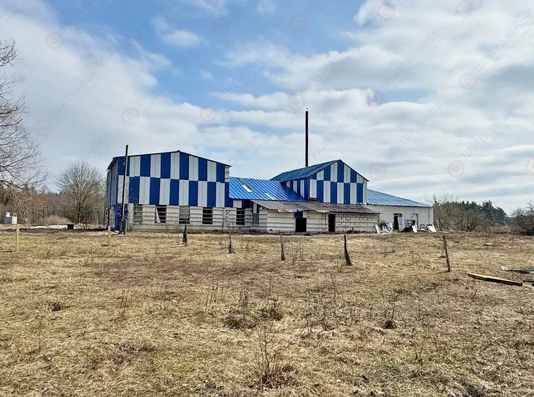 House  Pleshchanitsy, Belarus