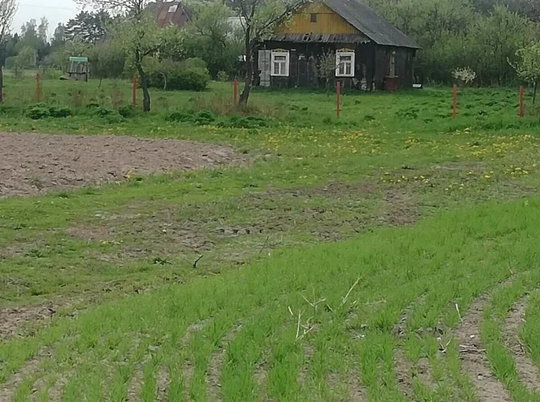 Land 54 m² Dzitvianski sielski Saviet, Belarus