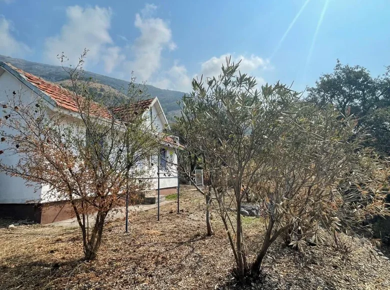 Дом 1 спальня 45 м² Zankovici, Черногория