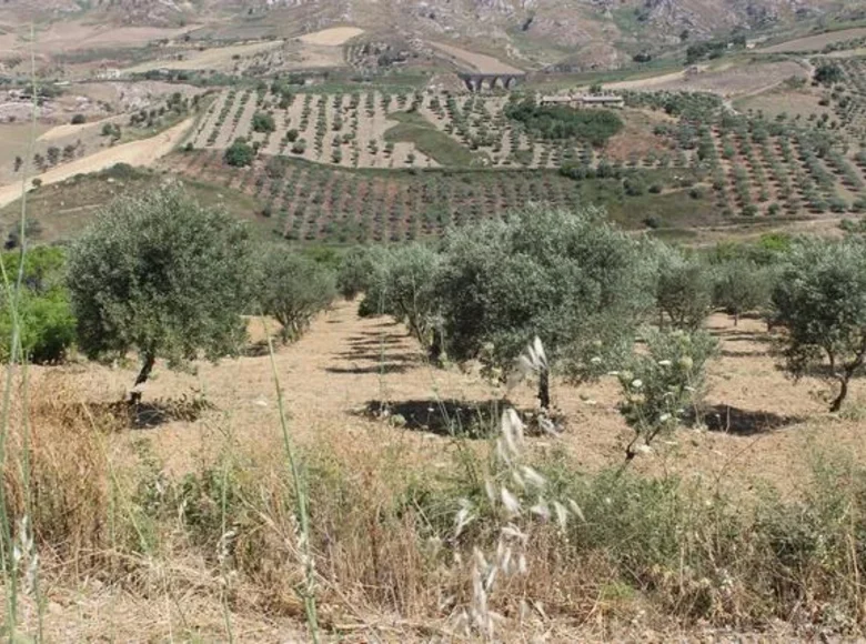 Parcelas  Cianciana, Italia