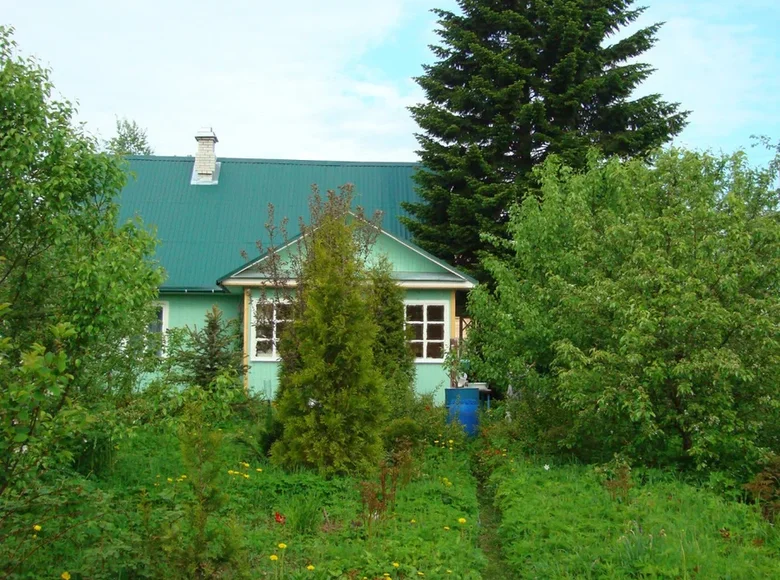Haus 3 zimmer 96 m² Mginskoe gorodskoe poselenie, Russland