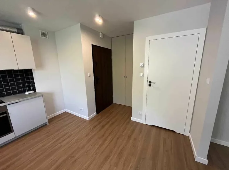 Wohnung 1 Zimmer 30 m² in Krakau, Polen