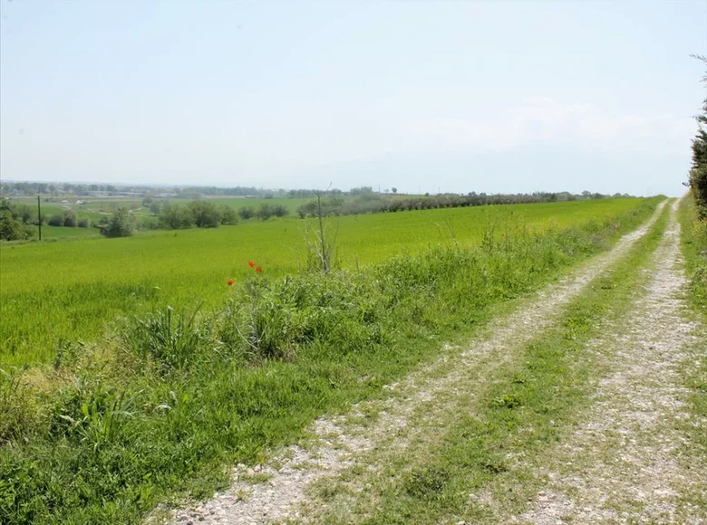 Działki 1 pokój  Nea Trapezounta, Grecja