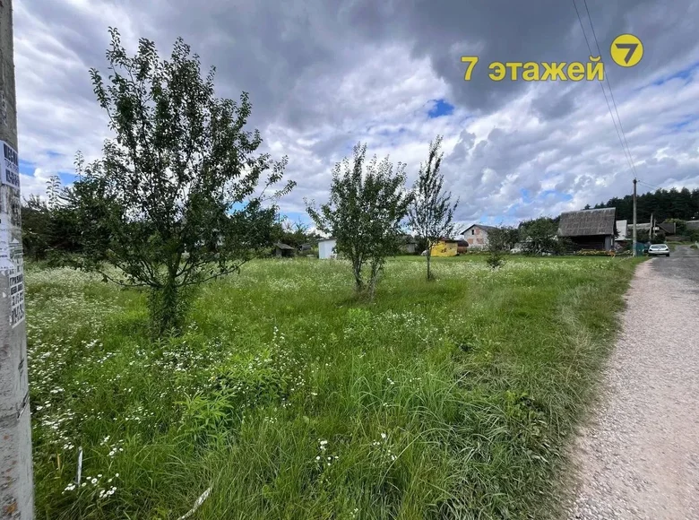Działki  Zodzinski sielski Saviet, Białoruś