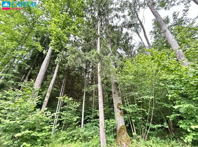 Land  Godenai, Lithuania