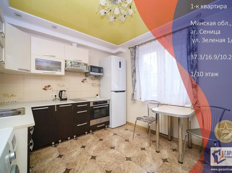 1 room apartment 37 m² Senitsa, Belarus